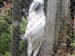 -杭州少年儿童公园
