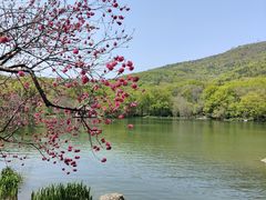 -紫霞湖公园