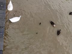 -海珠湖公园