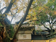 -无锡惠山寺