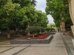 -紫薇公园
