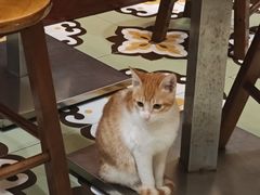 -曼谷食堂·泰国家庭料理(丹桂路店)