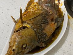 沾水鲫鱼-手提串串香