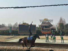 -上海野生动物园老虎餐厅