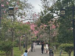 -大屏嶂森林公园