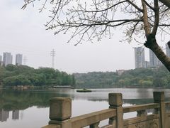 -重庆彩云湖湿地公园