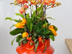 -F.Story 花和故事(新天地店)