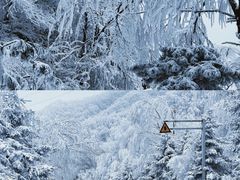 -秦岭风景区
