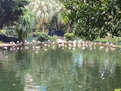 -九龙公园