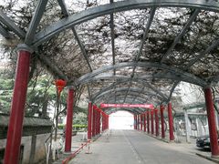 -止园酒店-中餐厅