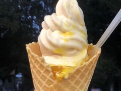 -夏食光安顺小舒冰粉冰浆(甲秀楼店)
