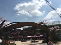 -绵阳盛世樱花悠乐谷