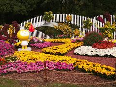 -上海共青森林公园