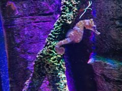 -沈阳海洋探索中心