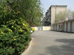-辽宁省实验中学