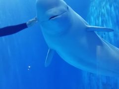 -多彩贵州城极地海洋世界