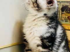 -凯德广场(武胜路店)