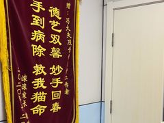 -中农国际动物医院24小时·猫科·骨科·急重症中心
