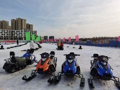 -丁香湖丁香小镇Citypark滑雪公园戏雪嘉年华