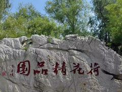 -滕州微山湖红荷湿地景区