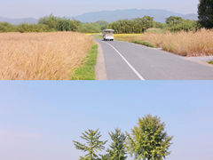 -良渚古城遗址公园