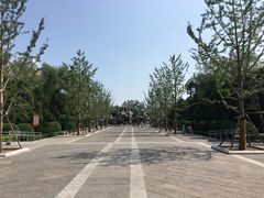 -迎泽公园
