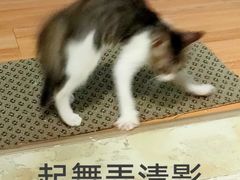 -北京老铺烤鸭(老城根店)