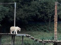 -宁波野生动物园