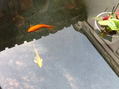 景点-三坊七巷历史文化街区