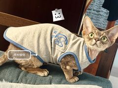 -纳吉亚猫专科动物医院博雅分院