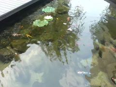 -泉乐坊步行街(烟酒特产平价超市店)