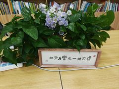 -约读书房(市南校区)