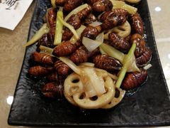 -老虎滩船说·海胆水饺·大连海鲜(老虎滩店)