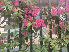 -成都市第一人民医院(南区)