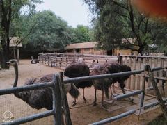 -秦皇岛野生动物园