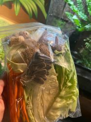 -酷嗒动物文化乐园(cutezoo西溪乐天城店)