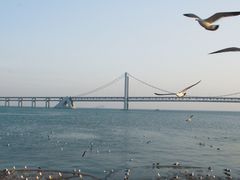-星海广场