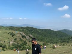 -大姆山草场