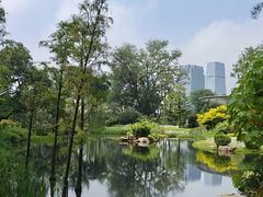 -云溪植物园