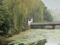 -西湖游船