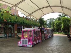 -美的鹭湖探索王国