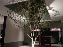 -铜锣湾·有麝自然香(渝北财富中心店)