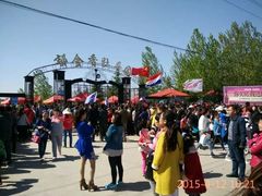 -洛阳郁金香牡丹园