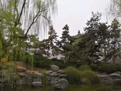 -西安青龙寺遗址景区