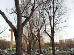 -朝阳公园游乐园