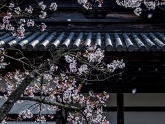 -清凉寺