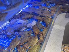 -77号渔船·蒸海鲜青岛菜(积米崖店)