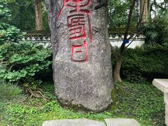 -南山植物园