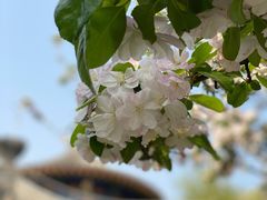 -大钟寺古钟博物馆