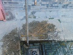 -朱自清故居